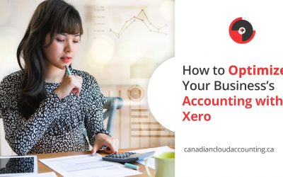 How to Optimize Your Business with Xero